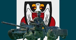 Irregular Militia Forces